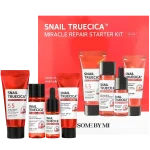 SNAIL TRUECICA MIRACLE REPAIR STARTER KIT