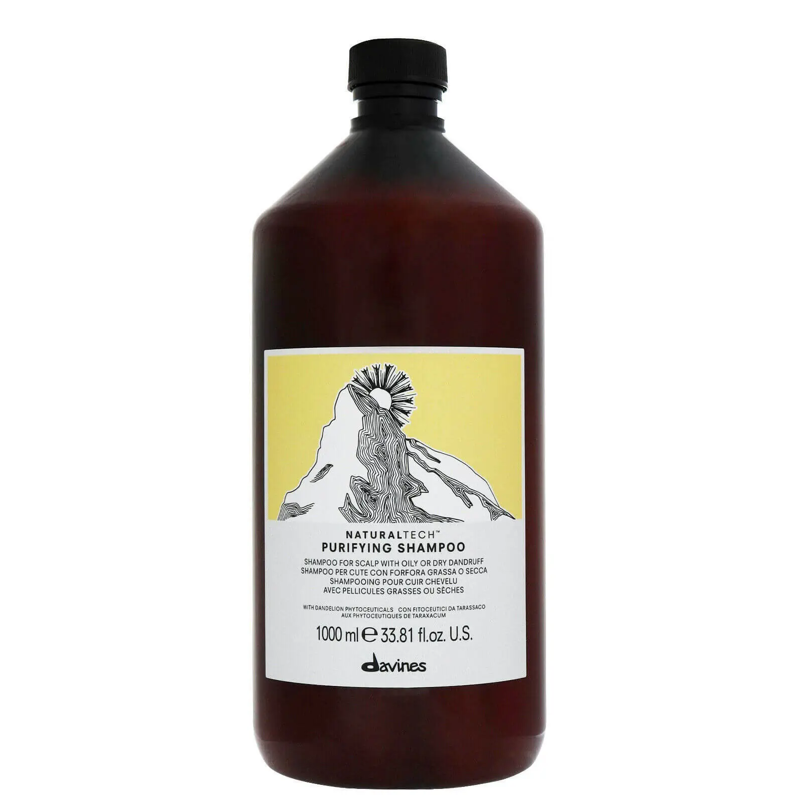8004608236603 Davines Purifying Shampoo 1000ml – Image 1