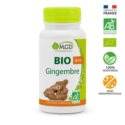 GINGEMBRE_BIO_1BIOGGING_150x69 MGD GINGEMBRE 90 GELULES – Image 1