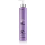 Erayba ABH Silver Mask No Yellow 250ml